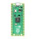Raspberry Pi Pico 2 (RP2350 dual-core, dual-architecture processor)